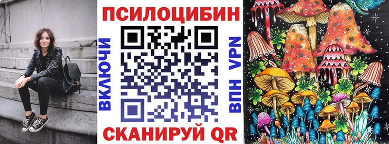 купить  цена  Кинель  Псилоцибиновые грибы мухоморы 